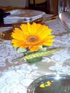 Segnaposto