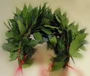Laurel crown with red ribbon