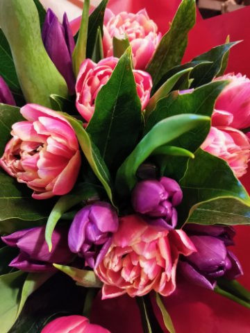 Foto Bouquet tulipani