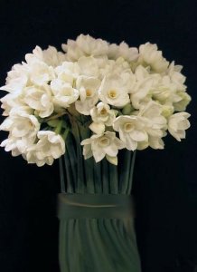 Foto Bouquet con Narciso