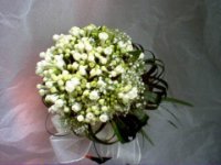 Bouvardia bouquet 